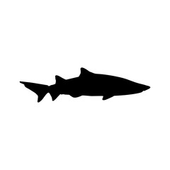Shark Black silhouette. Icon, sign or logo. Sea predator symbol. Flat vector illustration.  EPS10.