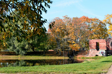 Obraz premium autumn in the park
