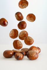 Falling conkers horse chestnuts on a white background, ready to prepare for a game