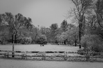 City snow-covered Park with empty benches and a lone figure of a man with a dog