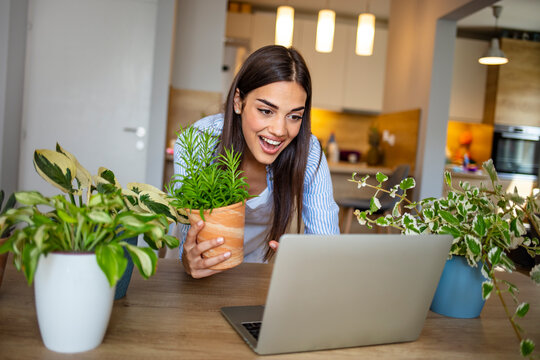 Beautiful young woman caring for her plants. Spring concept, nature and care. Woman preparing flowers for planting. Woman gardening in pots. Plant care. Gardening is more than hobby