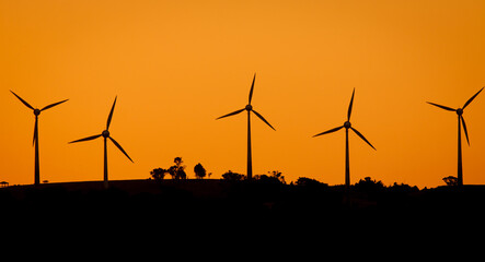 Windfarm at sunset
