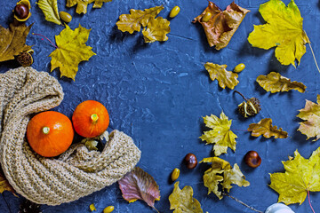 Autumn background frame mockup of pumpkins, fallen leaves, acorns on a dark stone background, top view copy space