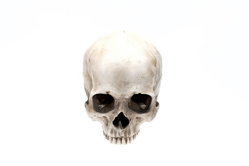 Front view of human skull isolated on white. Symbol of horror and death. Clipping path - 383816576
