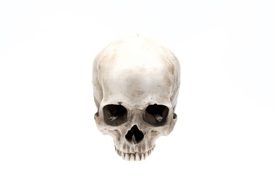 Front view of human skull isolated on white. Symbol of horror and death. Clipping path