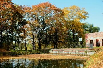autumn in the park