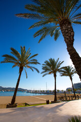 Ibiza san Antonio Abad de Portmany beach in Balearic
