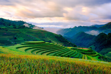 Fototapeta na wymiar Sunrise on terraced rice paddy in Mu Cang Chai, Yen Bai province, Vietnam.