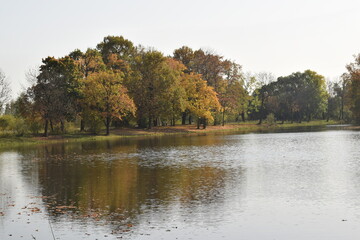 autumn in the park