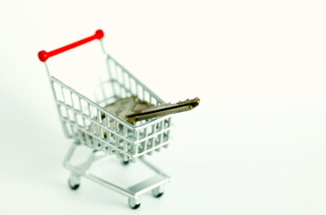 Miniature shopping cart model containing key scene represent delevery online shopping concept related idea.