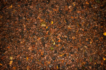 Autumn trail of wet gravel after rain.