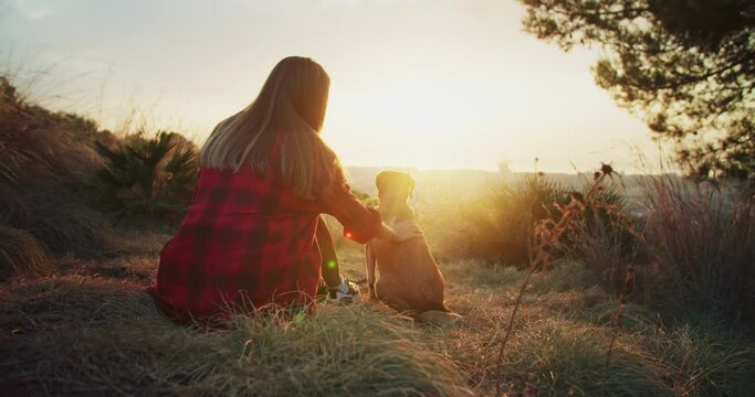 Young trendy female enjoying amazing summer sunset together with lovely dog outdoors, back view of girl in red caged shirt pet the nice happy doggy animal sitting nearby owner outside nature