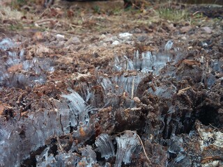 Obraz premium ice needles cut through the ground - Ледяные иглы вырывающиеся из недр земли