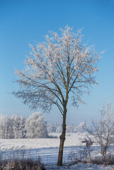 Winter Idyll In The North Of Germany