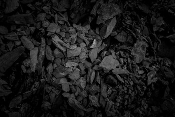Dark tone stone pile background . Cracked mudstone siltstone and shale.