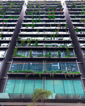 Apartment block in Sydney NSW Australia with hanging gardens and plants on exterior of the building 