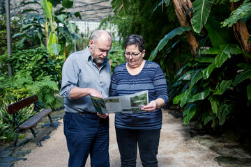 Couple reading leaflet in botanical garden - 383832716