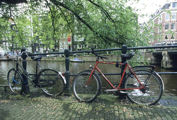 川端の自転車