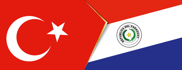 Turkey and Paraguay flags, two vector flags.