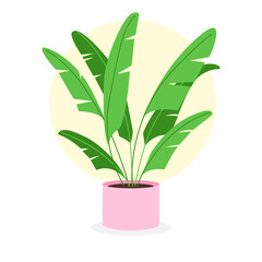 green plant flat illustration vector