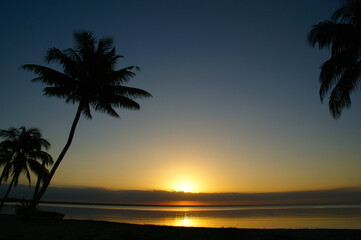 dawn on a tropical island. dawn in the tropics. silhouettes of palm trees against the rising sun