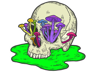 Human skull with growing mushrooms. Sketch scratch board imitation.