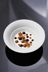 Dessert ice cream with syrup and cocoa powder, close-up