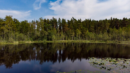 Fototapeta na wymiar Lake in a beautiful park in Poland