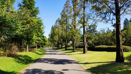 path in the park