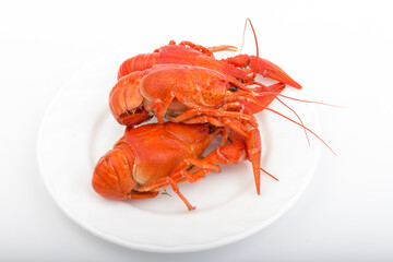 Boiled Fresh Crayfish,Crawfish,  isolated on white background