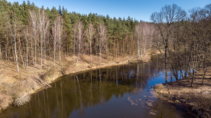 The view from the top to the lake in the forest. Autumn.