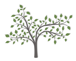 Drawing of a tree with green leaves of different shapes on a white background