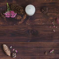 Fragrant cones and red flowers on a brown wooden background