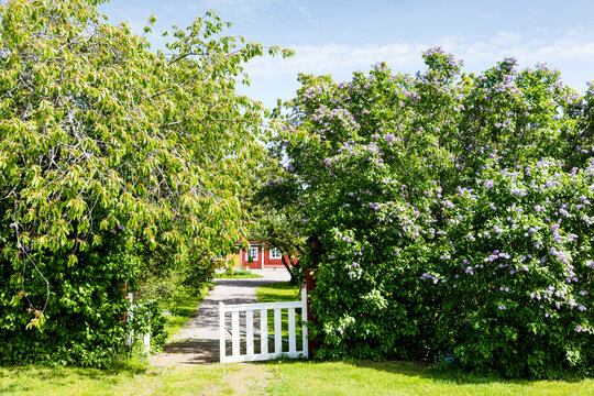 View of garden gate