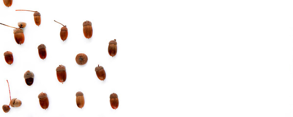 Autumn composition. Frame made of brown dried leaves and acorns isolated on white background. Template mockup fall, halloween, thanksgiving concept. Flat lay, top view, copy space banner