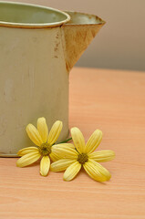 A close up of a rusty old mug on a table with yellow daisies