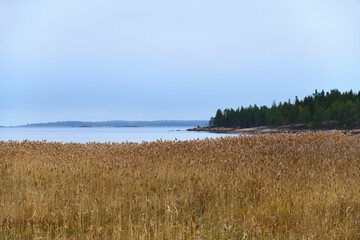 Coastline of the White Sea in Karelia, Russia