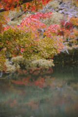 Autumn leaves at Eikando Zenrinji, Kyoto, Japan
