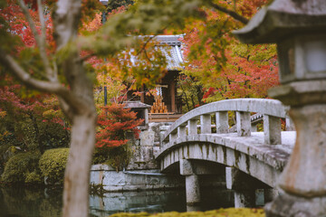 Fototapeta na wymiar Autumn leaves at Eikando Zenrinji, Kyoto, Japan