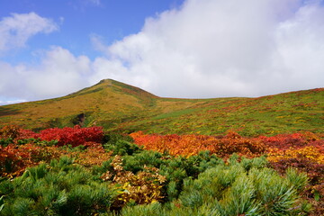 Scenery of Mt. Kurikoma in Japan with beautiful autumn colors