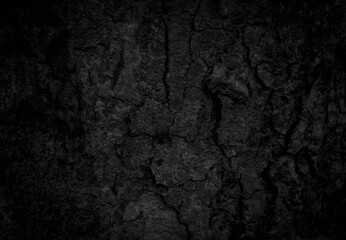 Black tree bark background Natural beautiful old tree bark texture According to the age of the tree with beautiful bark during the summer