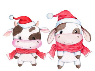 Cute cartoon little cows, bulls in red santa cap and red scarf. Watercolor hand drawn illustration, isolated.