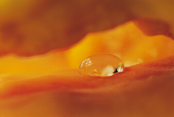 Detail of water droplet on orange texture