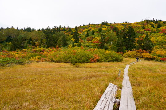 Scenery of Hakkoda Mountains in Japan with beautiful autumn colors