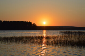 Sunset on the lake. Orange glow, wavy water and water plants. 