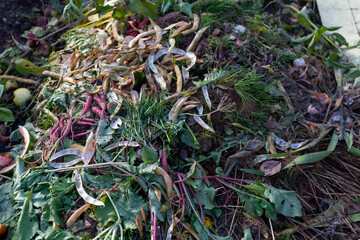 Plant waste in the garden in autumn. Processing plants and weeds into compost, fertilizing the land.