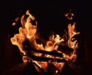 Campfire in the dark. Flames, burning firewoods and glowing coals 