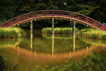 Fototapeta na wymiar Arched Bridge of Japanese Temple Garden