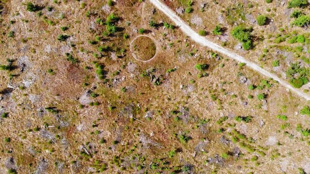 Top-down Shot Of Stone Circles In The Vast Landscape In Bory Tucholskie National Park Near Lesno, Poland - aerial