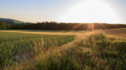 Obraz premium Sunset over agricultural field in rural landscape